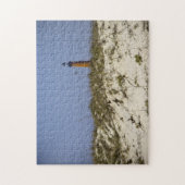 Ponce Inlet Lighthouse Daytona Beach Florida Photo Legpuzzel (Verticaal)