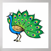 Ponce Peacock Poster (Voorkant)