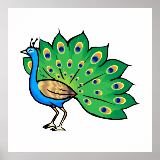 Ponce Peacock Poster (Voorkant)