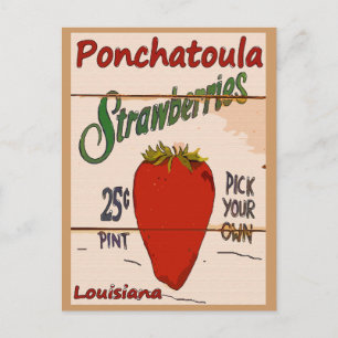 Ponchatoula Aardbeien Kaart
