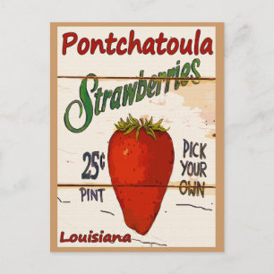 Ponchatoula Aardbeien Kaart