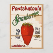 Ponchatoula Aardbeien Kaart (Voorkant)