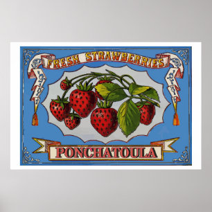 Ponchatoula aardbeien, LA Poster