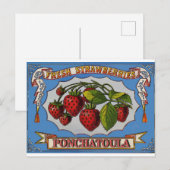 Ponchatoula, LA Aardbeien Briefkaart (Voorkant / Achterkant)