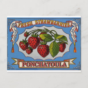 Ponchatoula, LA Aardbeien Briefkaart