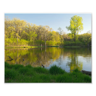 Pond and Lush Forest of Battle Creek Park Foto Afdruk