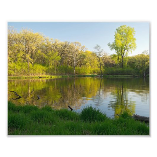 Pond and Lush Forest of Battle Creek Park Foto Afdruk (Voorkant)