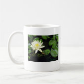 Pond Beauty Koffiemok (Links)