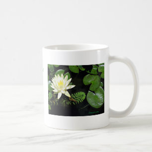 Pond Beauty Koffiemok