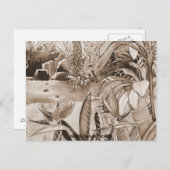 Pond bij ananaswerving briefkaart (Voorkant / Achterkant)