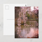 Pond bij RHS Wisley, Engeland Briefkaart (Voorkant / Achterkant)