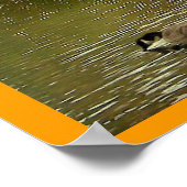 Pond bij Sapsucker-Bossen Poster (Hoek)