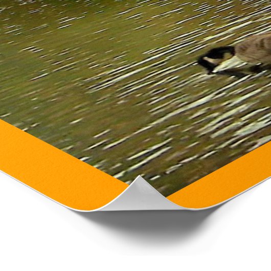 Pond bij Sapsucker-Bossen Poster (Hoek)