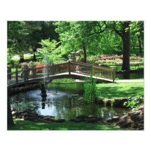 Pond Bridge-foto Foto Afdruk