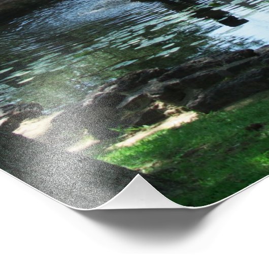 Pond Bridge-foto Foto Afdruk (Hoek)