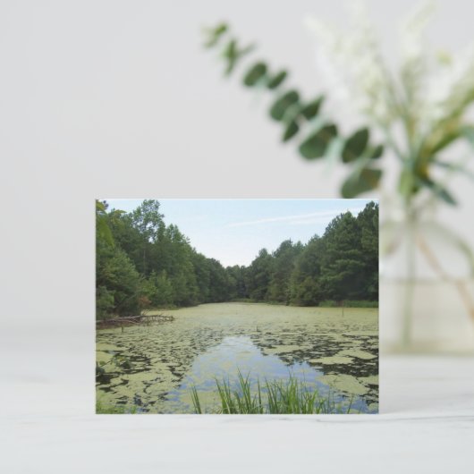 Pond Briefkaart (Staand voorkant)