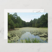 Pond Briefkaart (Voorkant / Achterkant)