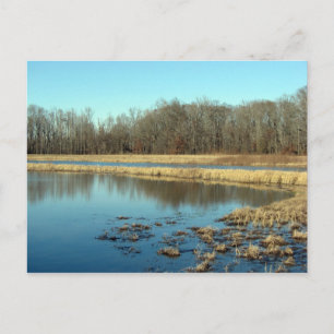 Pond Briefkaart