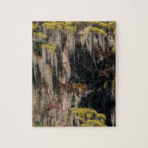 Pond Cypress in overstroomde moeras Legpuzzel