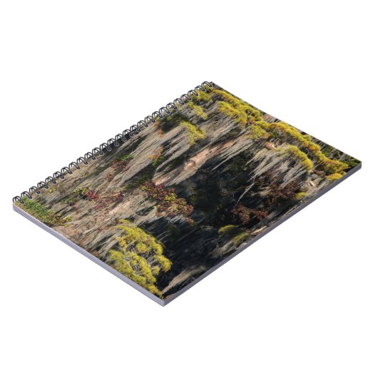 Pond Cypress in overstroomde moeras Notitieboek (Linkerzijde)