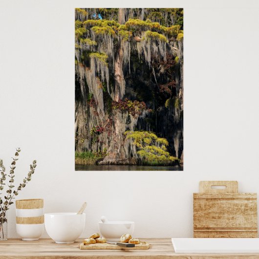 Pond Cypress in overstroomde moeras Poster (Keuken)