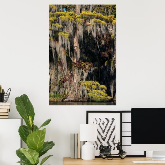 Pond Cypress in overstroomde moeras Poster (Thuiskantoor)