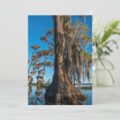 Pond Cypress Tree in een moeras Bedankkaart (Staand voorkant)