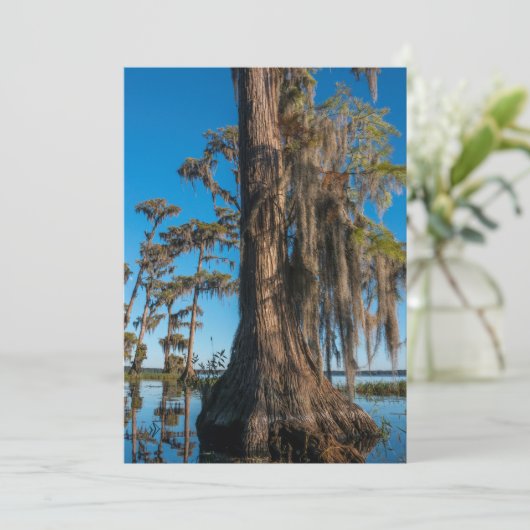 Pond Cypress Tree in een moeras Bedankkaart (Staand voorkant)