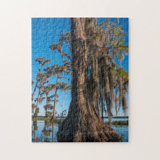 Pond Cypress Tree in een moeras Legpuzzel (Verticaal)