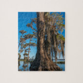 Pond Cypress Tree in een moeras Legpuzzel (Verticaal)
