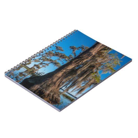 Pond Cypress Tree in een moeras Notitieboek (Linkerzijde)