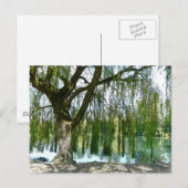 Pond door de Wonende Wilde Boom Briefkaart (Voorkant / Achterkant)