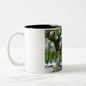 Pond door de Wonende Wilde Boom Tweekleurige Koffiemok (Links)