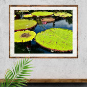 Pond- en Leaves Puerto Vallarta Poster