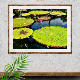 Pond- en Leaves Puerto Vallarta Poster
