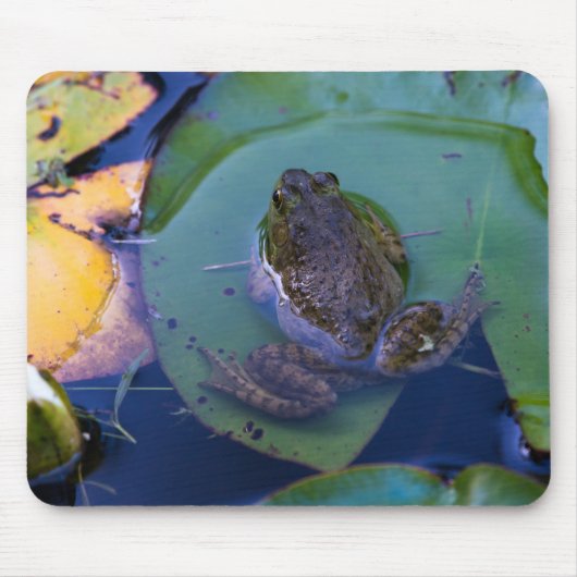 Pond Frog Muismat (Voorkant)