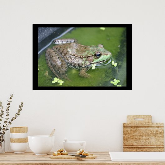 Pond Frog Poster (Keuken)
