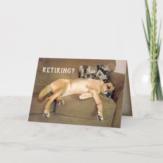 Pond hond bij pensionering op couche kaart (Voorkant)