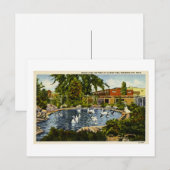 Pond in Clinch Park Traverse City, Michigan Briefkaart (Voorkant / Achterkant)