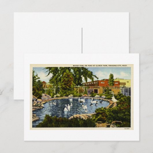 Pond in Clinch Park Traverse City, Michigan Briefkaart (Voorkant / Achterkant)