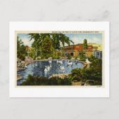 Pond in Clinch Park Traverse City, Michigan Briefkaart (Voorkant)