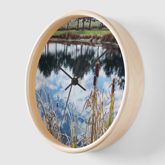 Pond Landscape Natuur Fotografie (Hoek)