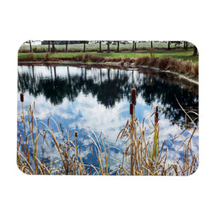Pond Landscape Natuur Fotografie Magneet