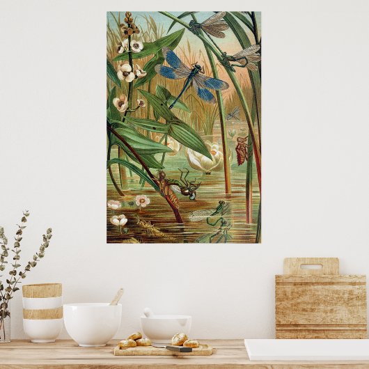 Pond Life Poster (Keuken)