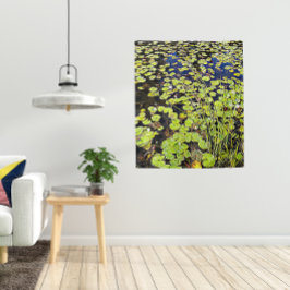 Pond Lily Pads en Reeds Photo Wandkleed