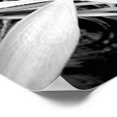 Pond Lily Poster (Hoek)