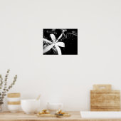 Pond Lily Poster (Keuken)