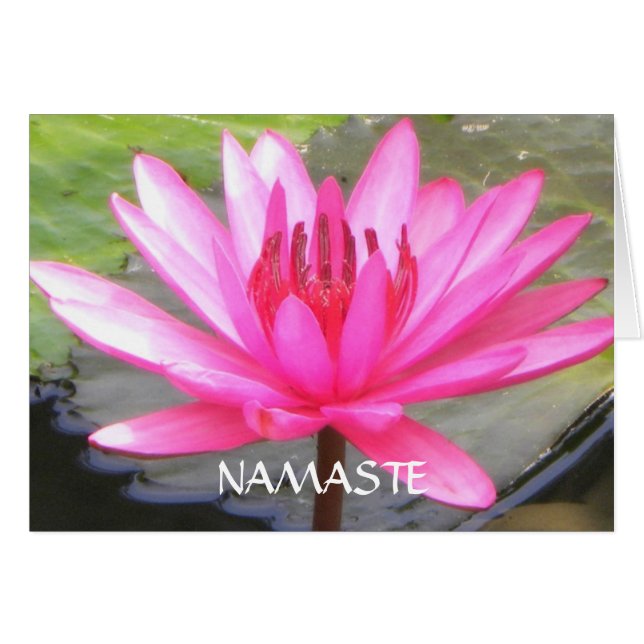 Pond Lotus Tranquility l Namaste (Voorkant Horizontaal)