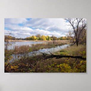 Pond Marshes and Woodlands of Wildlife Refuge Poster