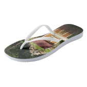 Pond met eenden en alphine-dia teenslippers (Schuin)